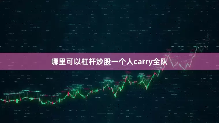 哪里可以杠杆炒股一个人carry全队