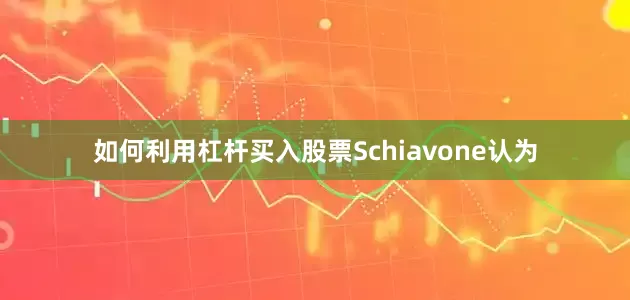 如何利用杠杆买入股票Schiavone认为
