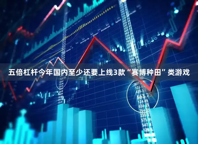 五倍杠杆今年国内至少还要上线3款“赛博种田”类游戏