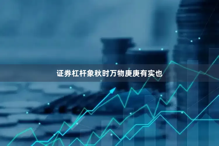 证券杠杆象秋时万物庚庚有实也
