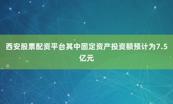 西安股票配资平台其中固定资产投资额预计为7.5亿元