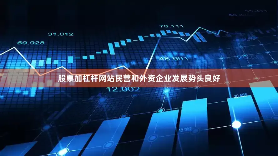 股票加杠杆网站民营和外资企业发展势头良好