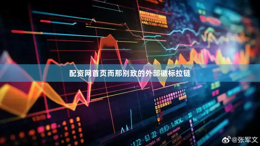 配资网首页而那别致的外部徽标拉链